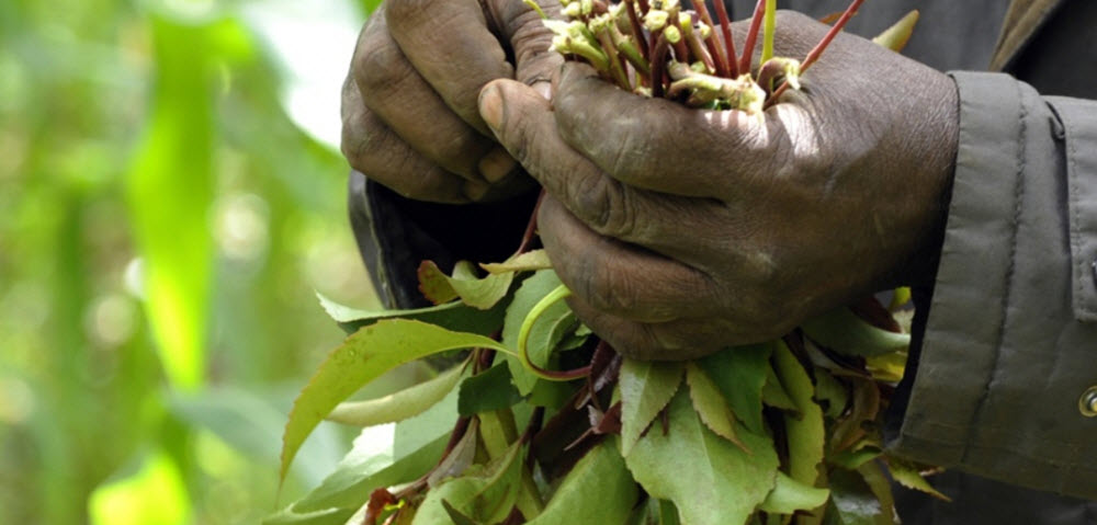 khat